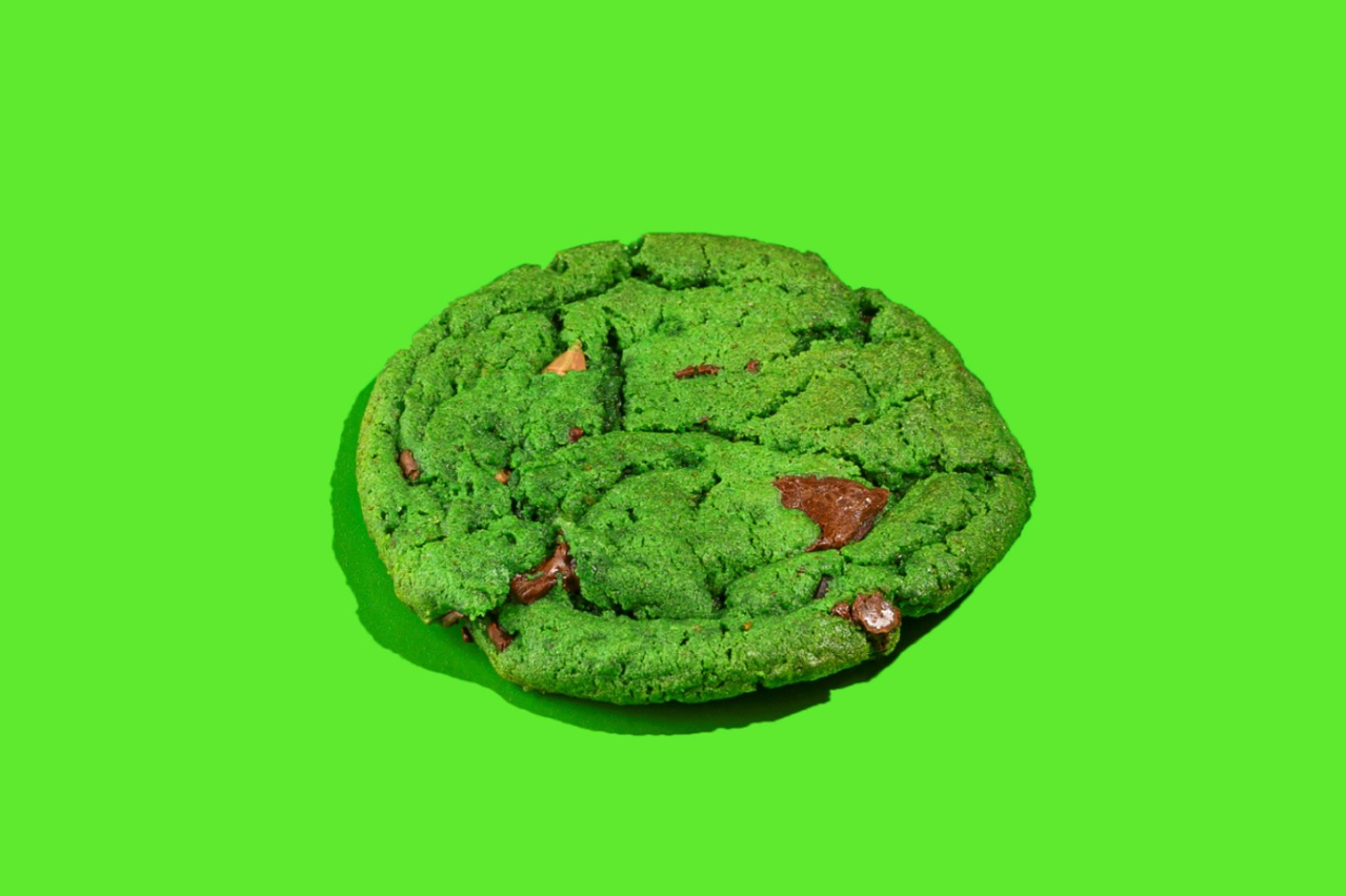 Bee Cookies