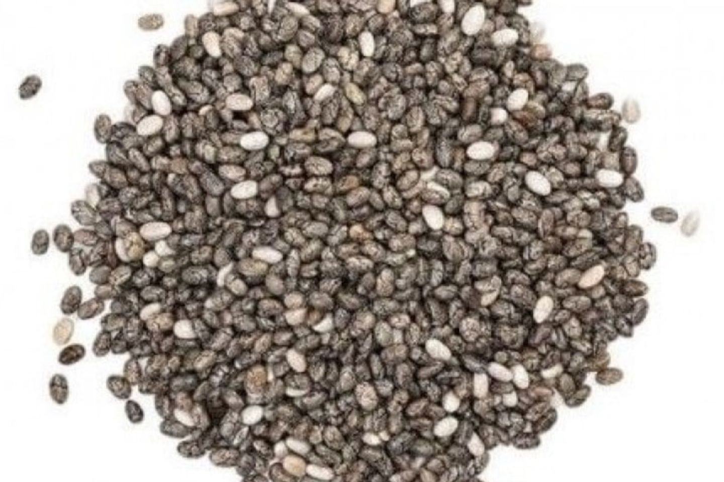 Shea Seed