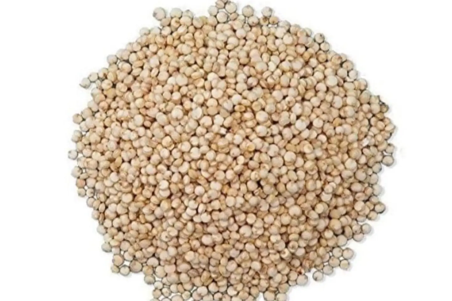 بذر كنوة