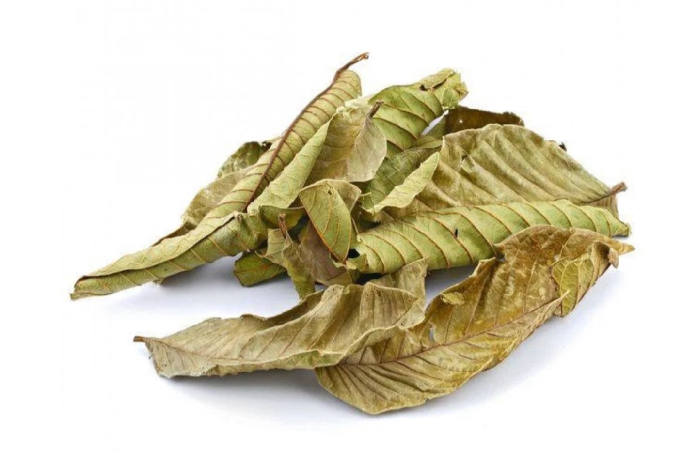 ورق جوافة