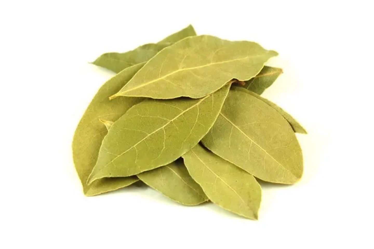 ورق غار