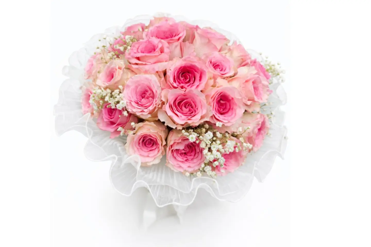 لاكسريجي باقة اليوم الوردي ٠٠١