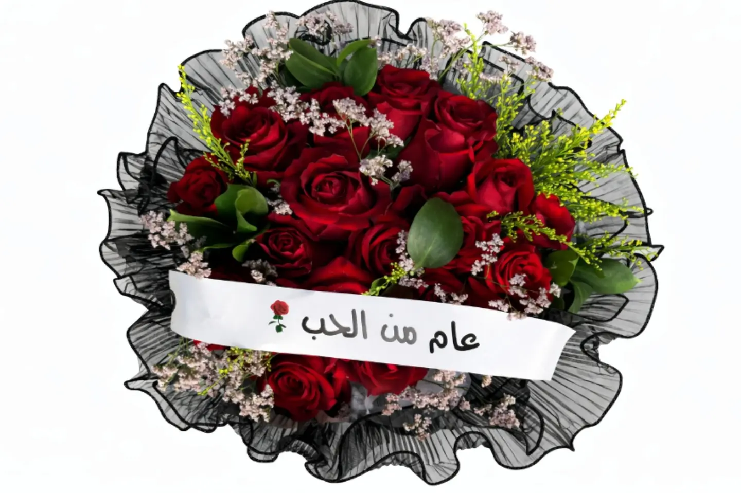 لاكسريجي باقة التعبير٠١١