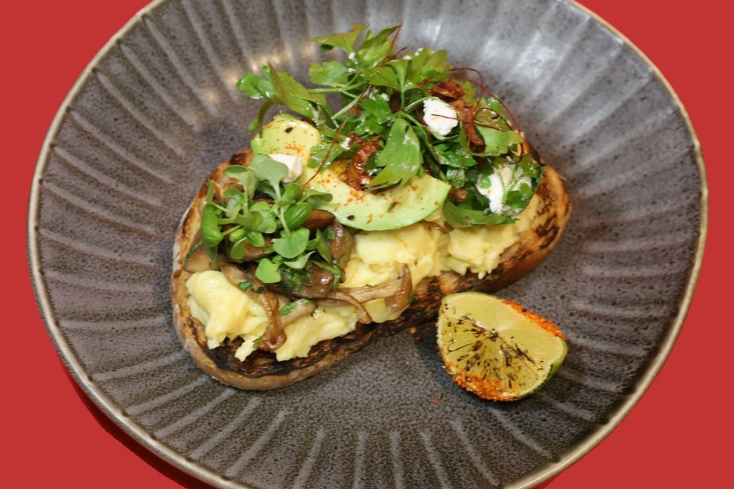 Scrambled Eggs
