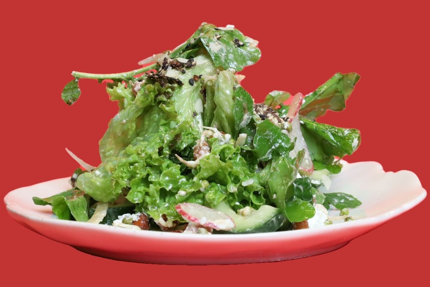Garden Salad