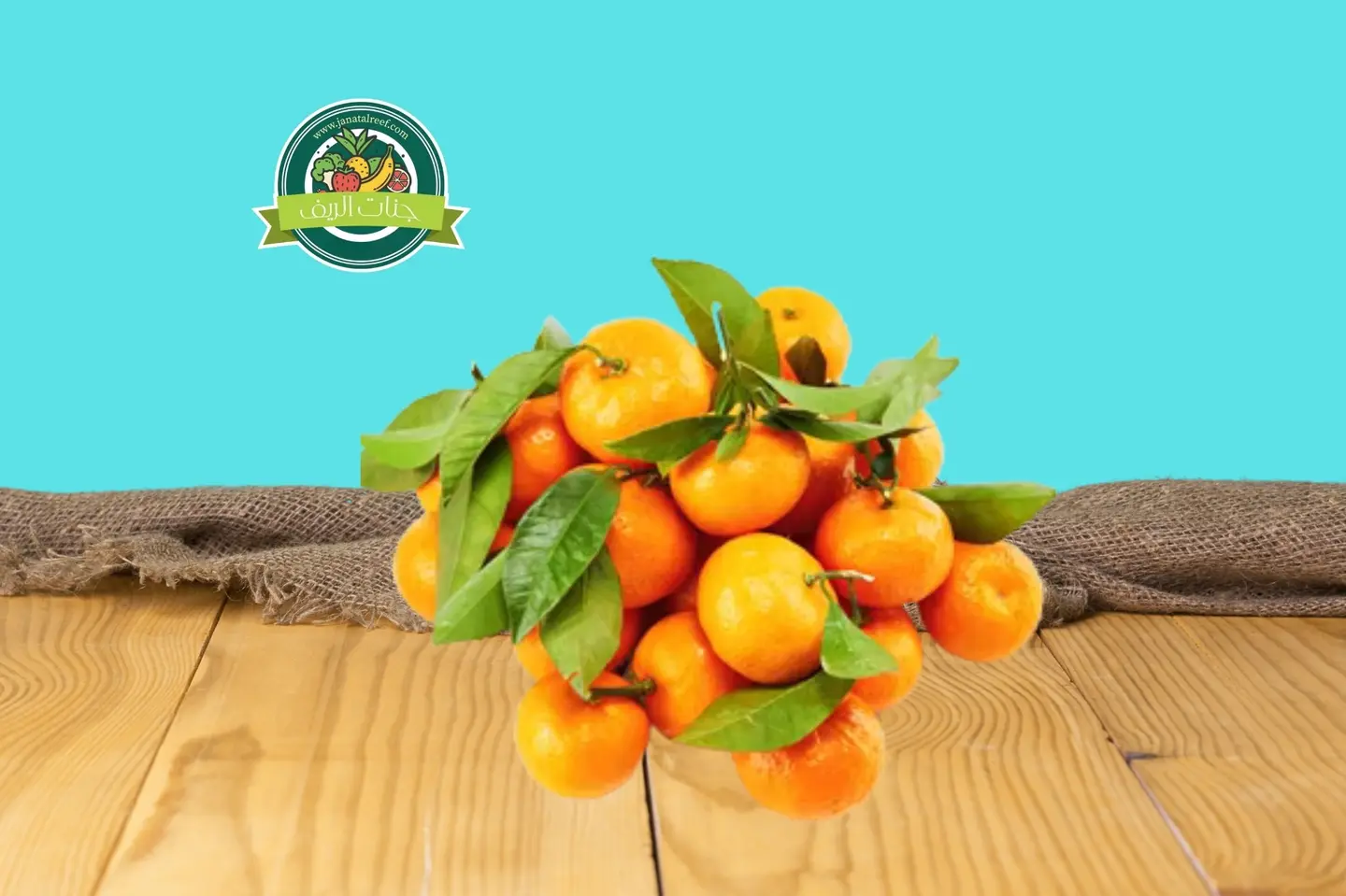 صندوق افندي تركي