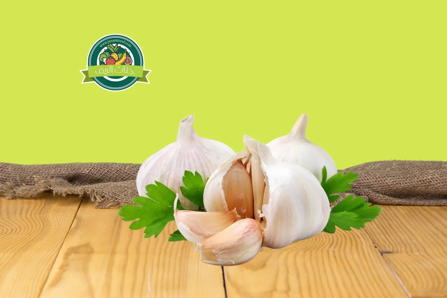 Garlic