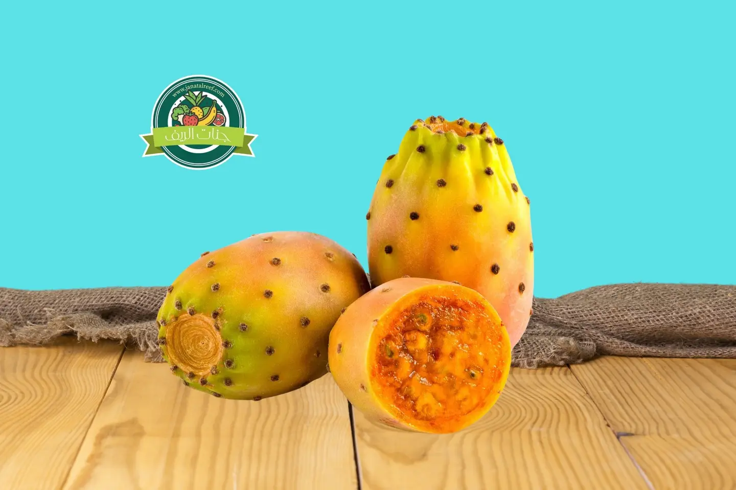 Prickly Pear Cardboard