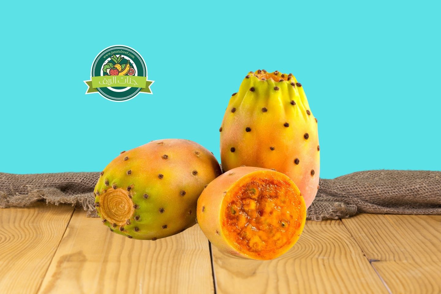 Prickly Pear Cardboard