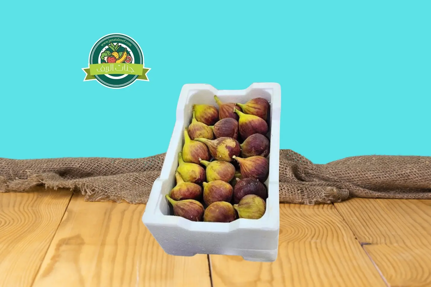 تين عادي صندوق
