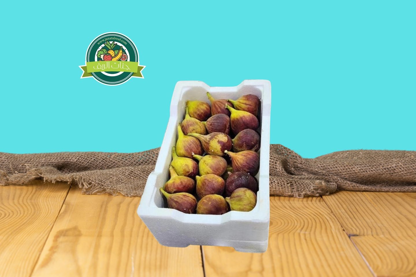 تين عادي صندوق