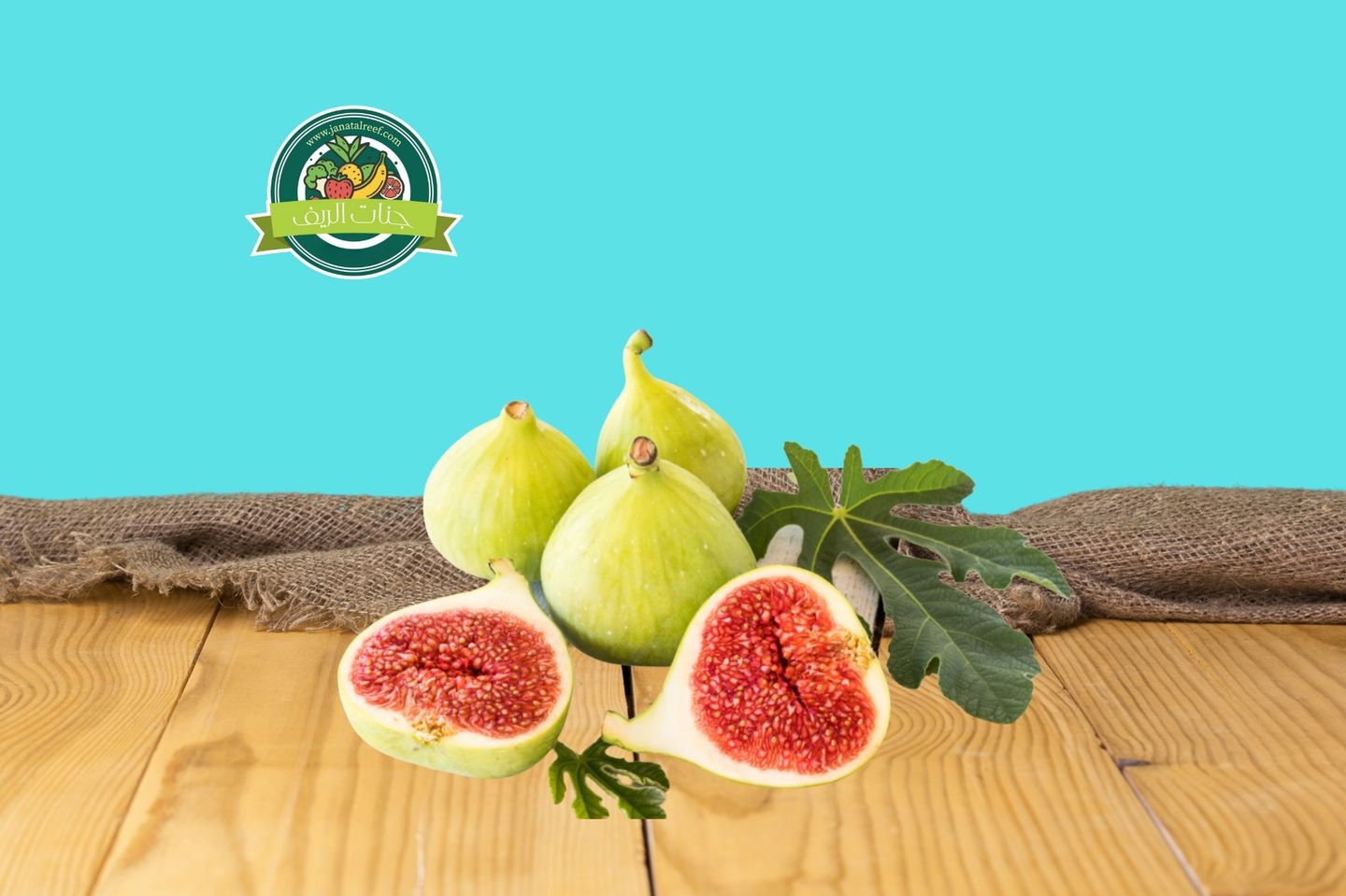 تين اخضر صندوق