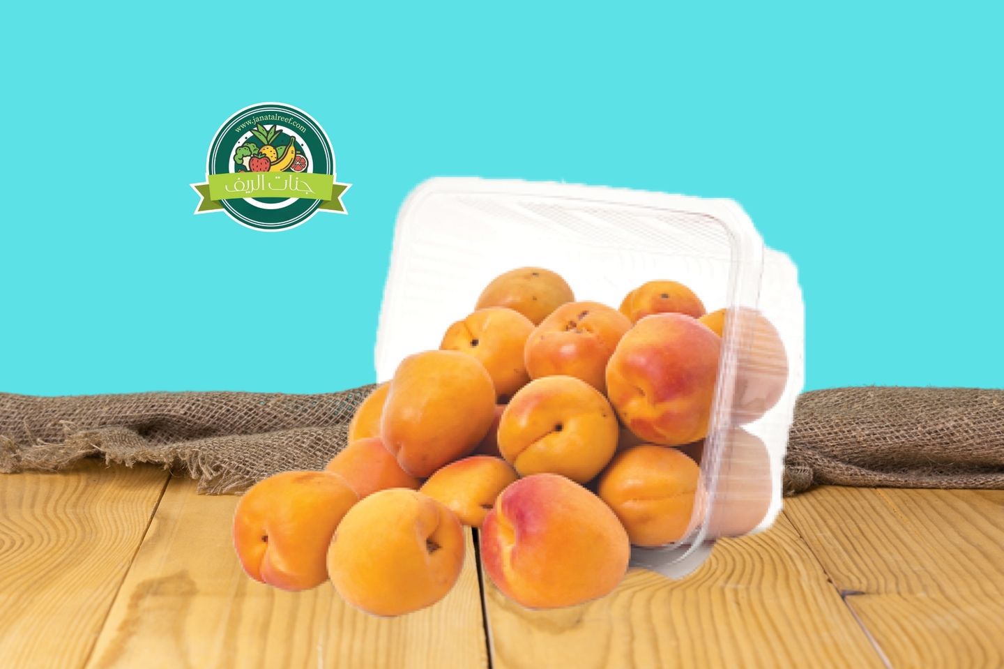 مشمش تبوك