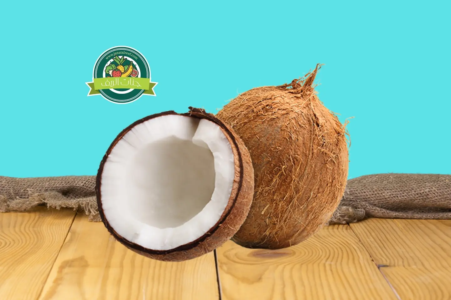 Regular Coconut