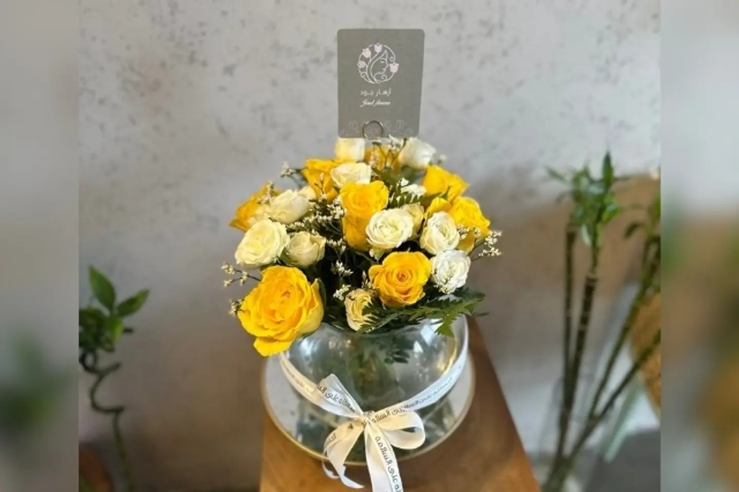 فازة جود ٢٤