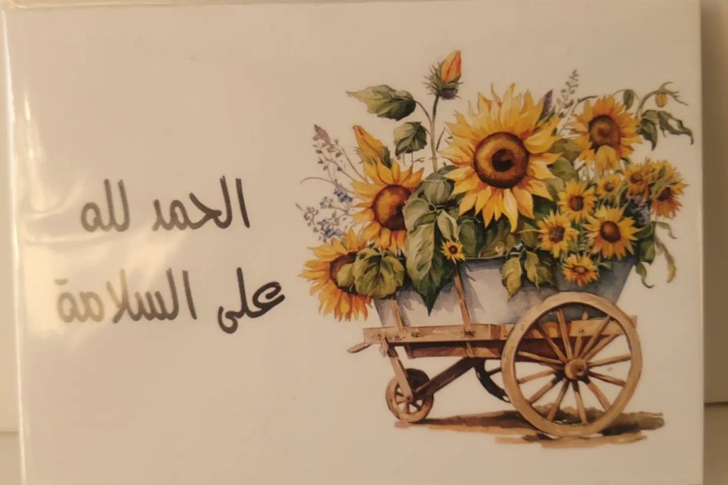 كرت حمدالله على السلامه