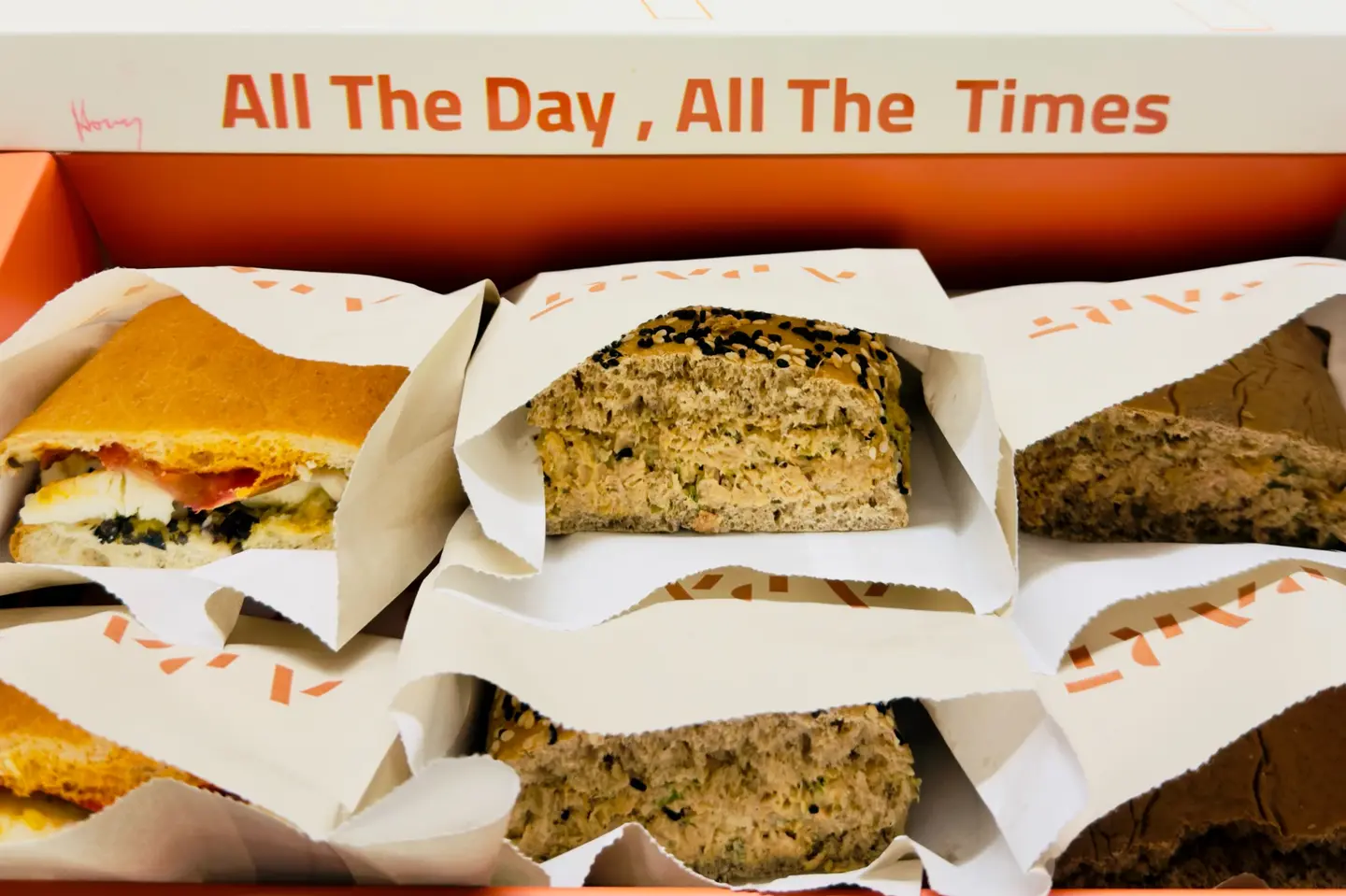 شطائر علبة تحتوي على قط