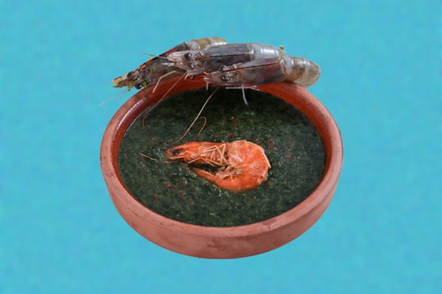 Shrimp Mulukhiyah