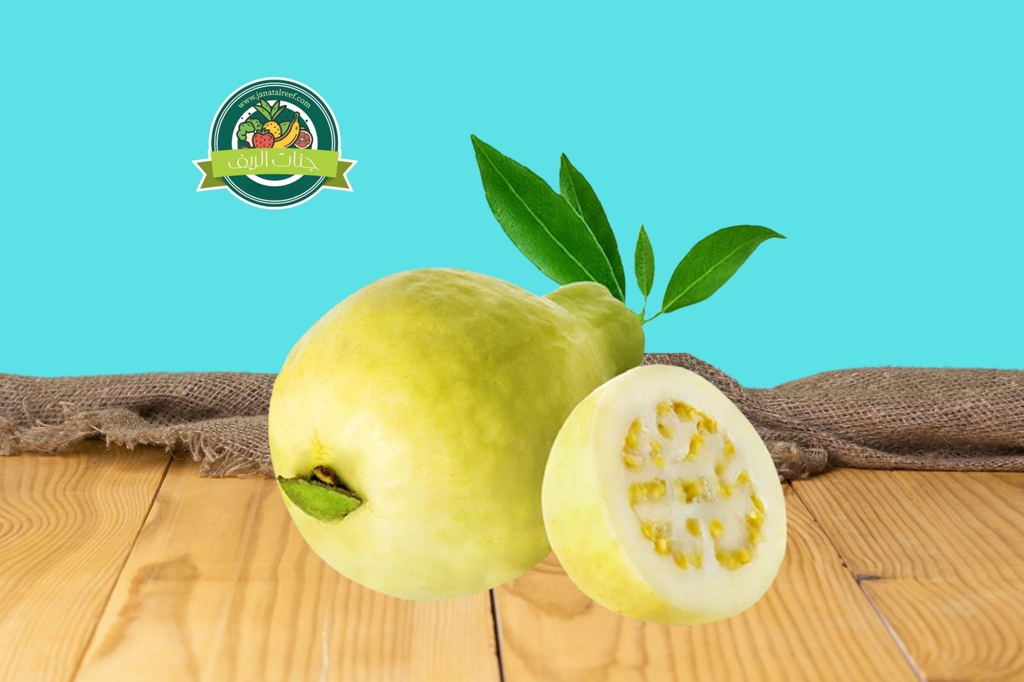 Guava