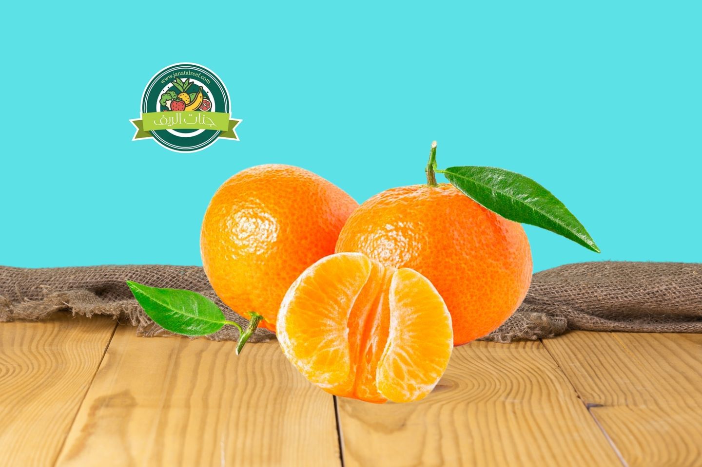 ‏ أفندي استرالي كجم