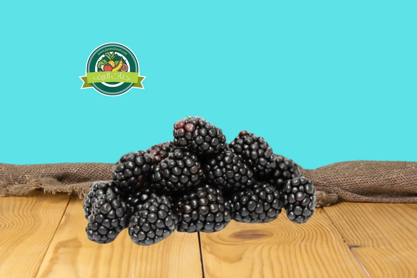 علبة ‏توت أسود