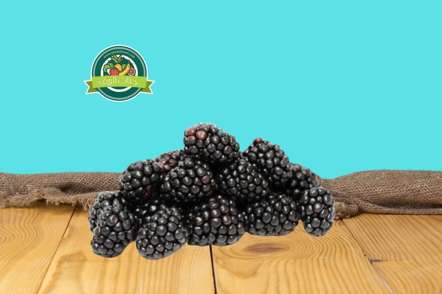 علبة ‏توت أسود