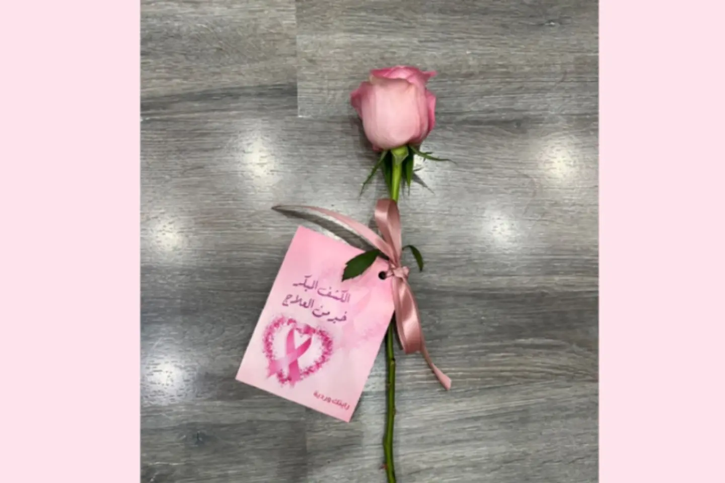 Pink October Rose