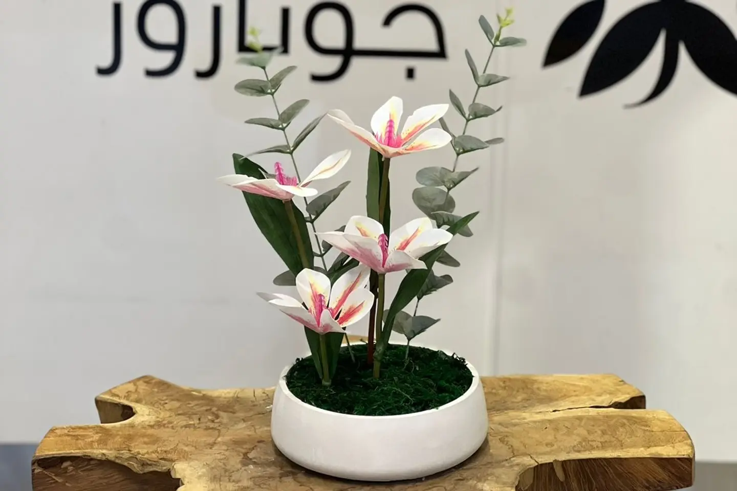 فازات جوناروز ١٨