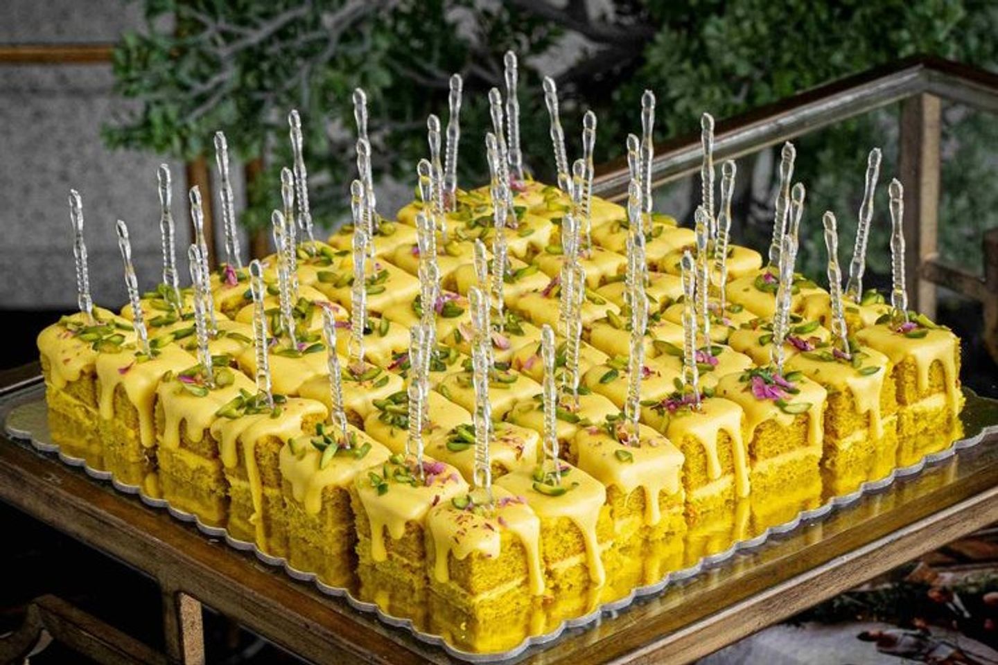 Oqaili Cake Bites   Tray