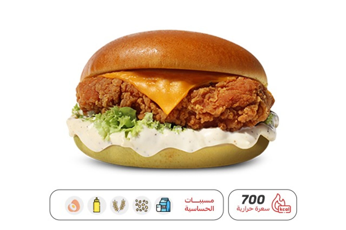 Classic Chicken Reg
