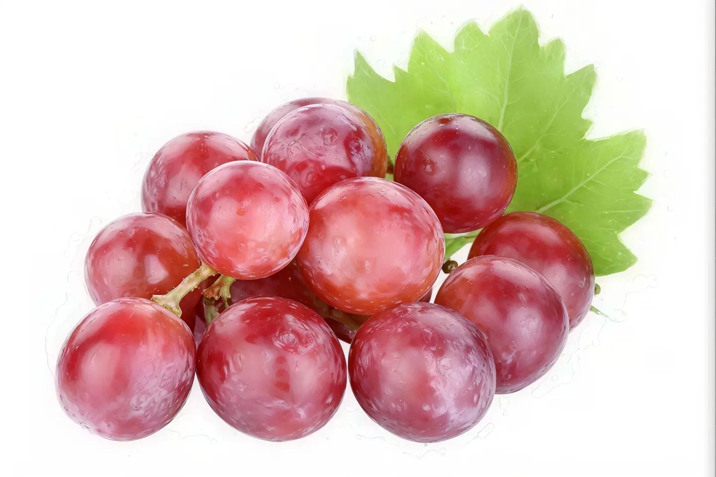قطع عنب طازج