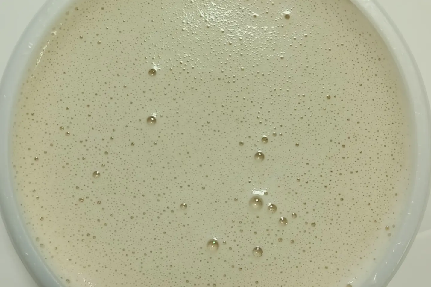 طحينة كبير
