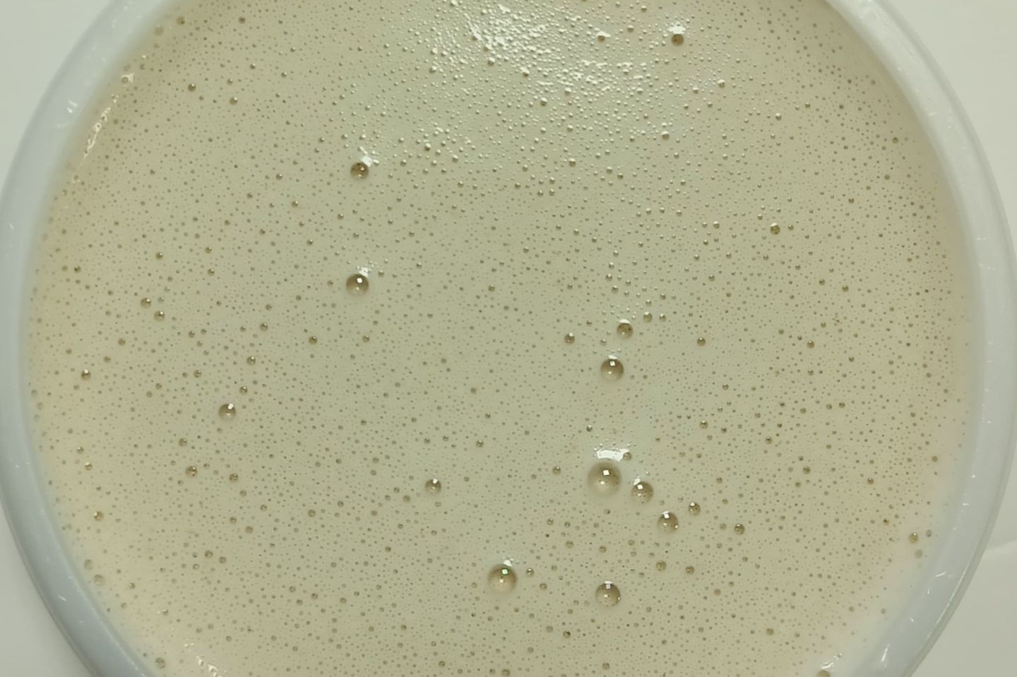 طحينة كبير