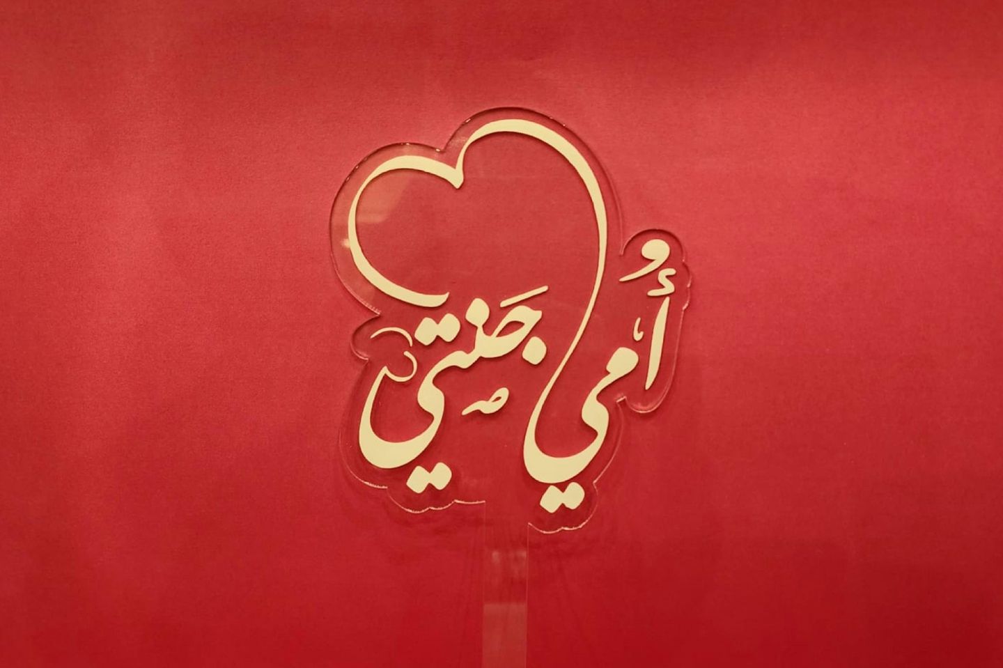 تغريسة يوم الام ٢