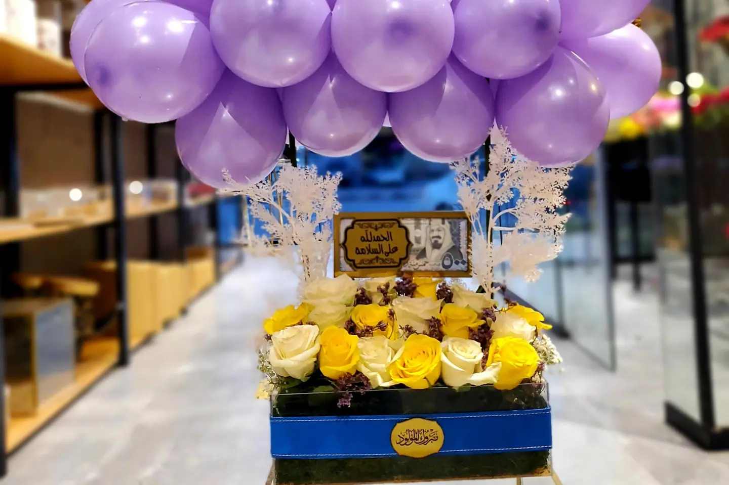 ستاند مواليد