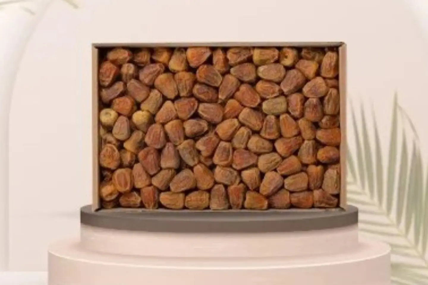 Sukari  Mfattal Dates, 3 Kg