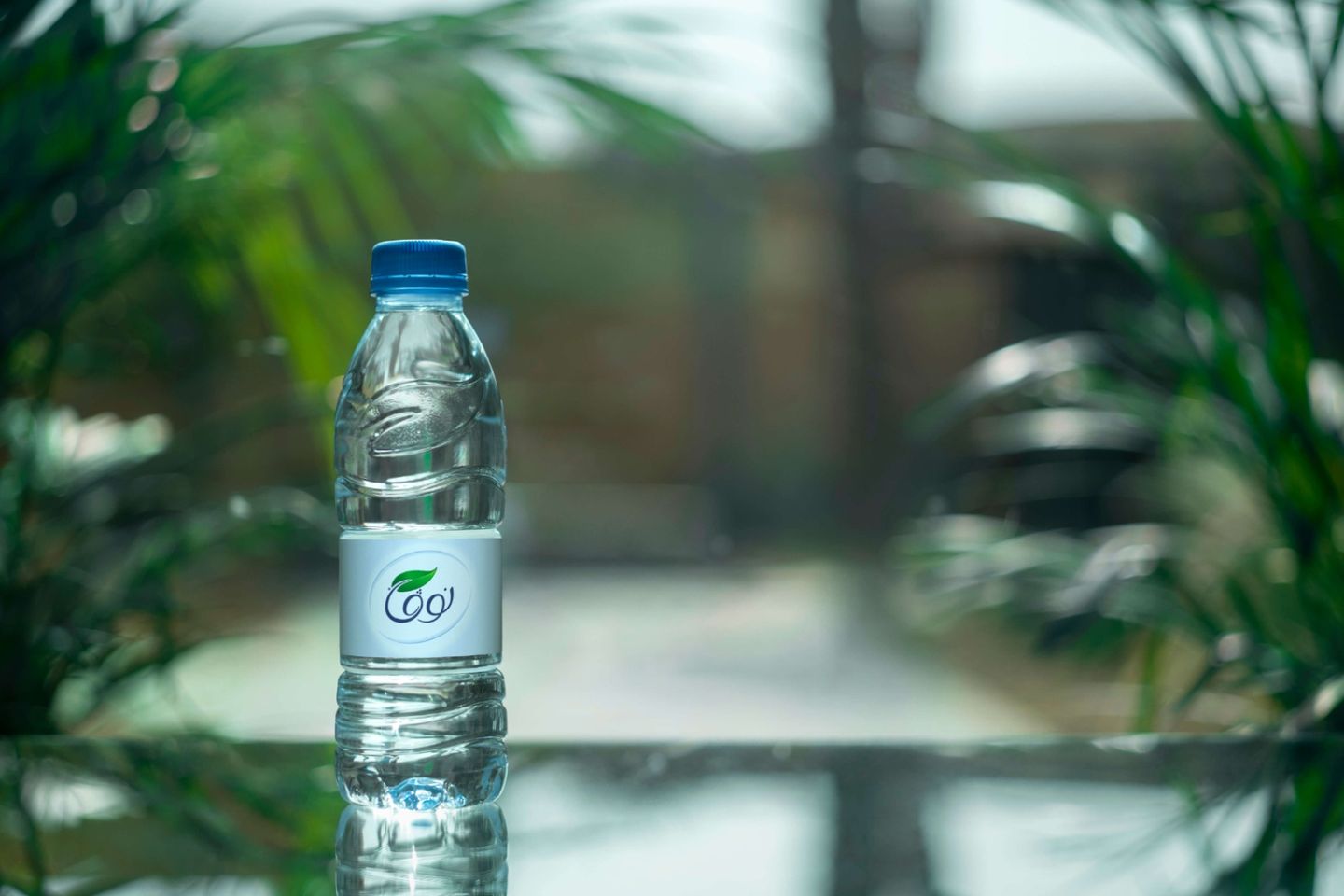 Anova Water