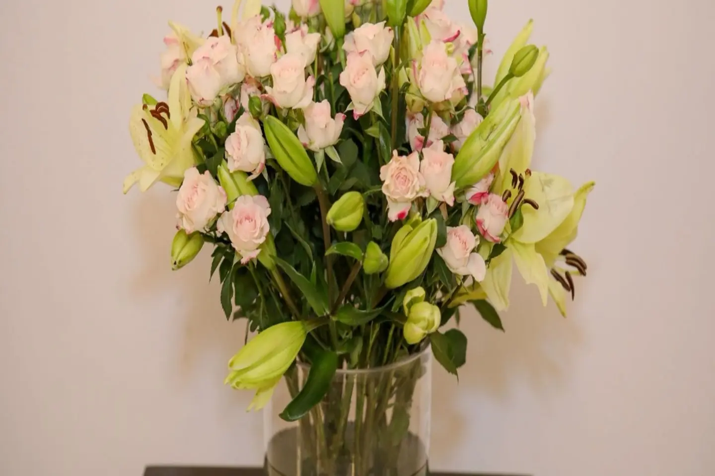 فازة ضوء الزهرة