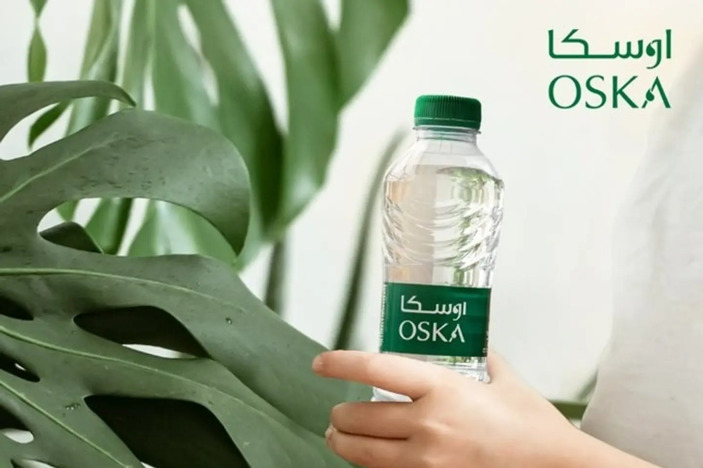 مياه