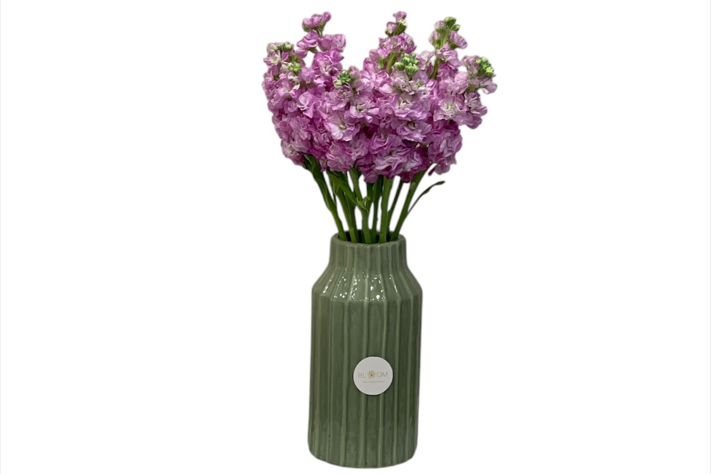 Matthiola Vase