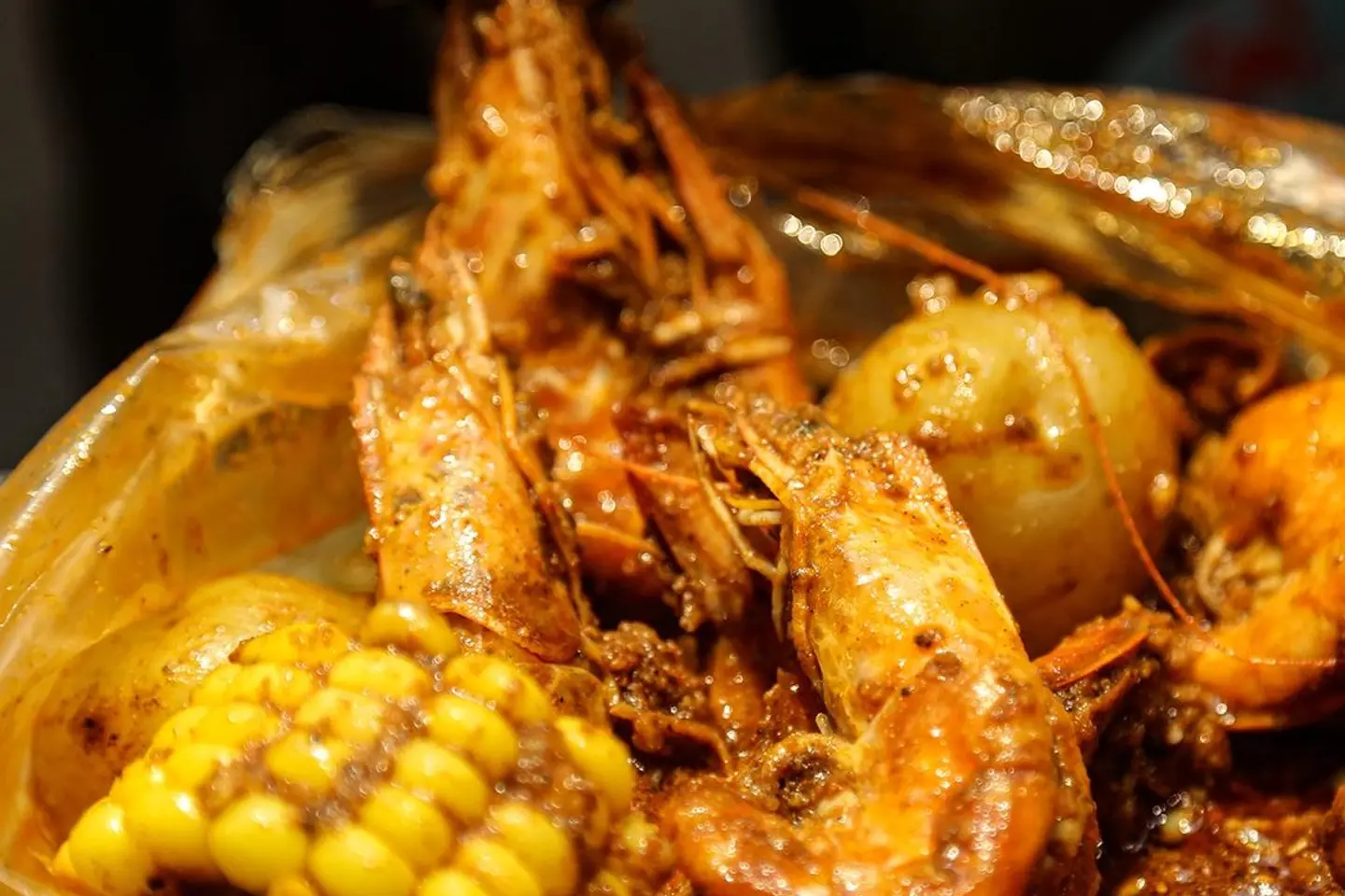 Shrimp