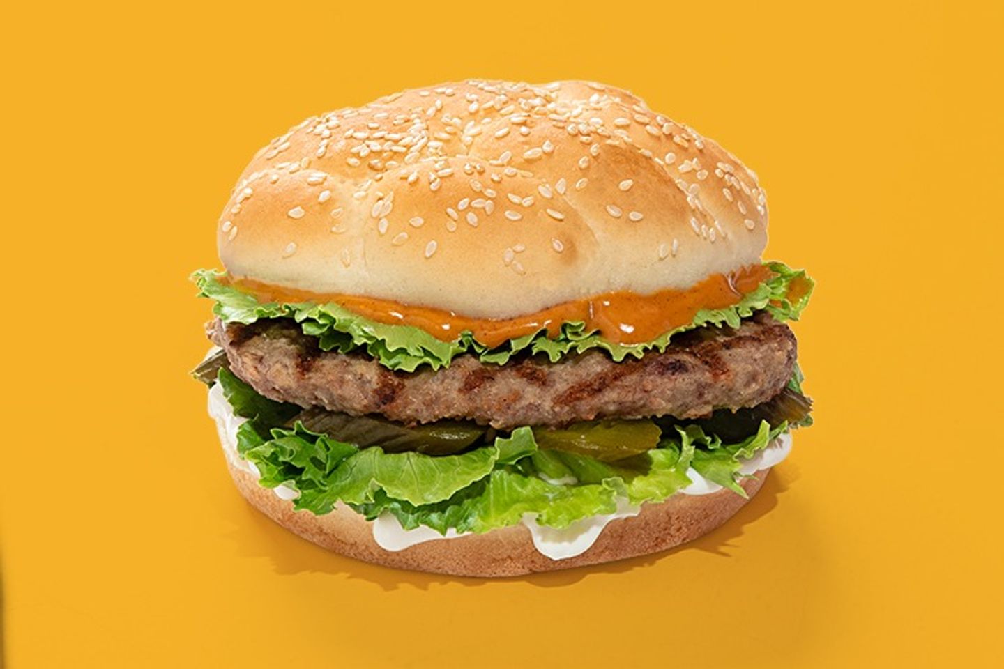 Beef Burger Sandwich