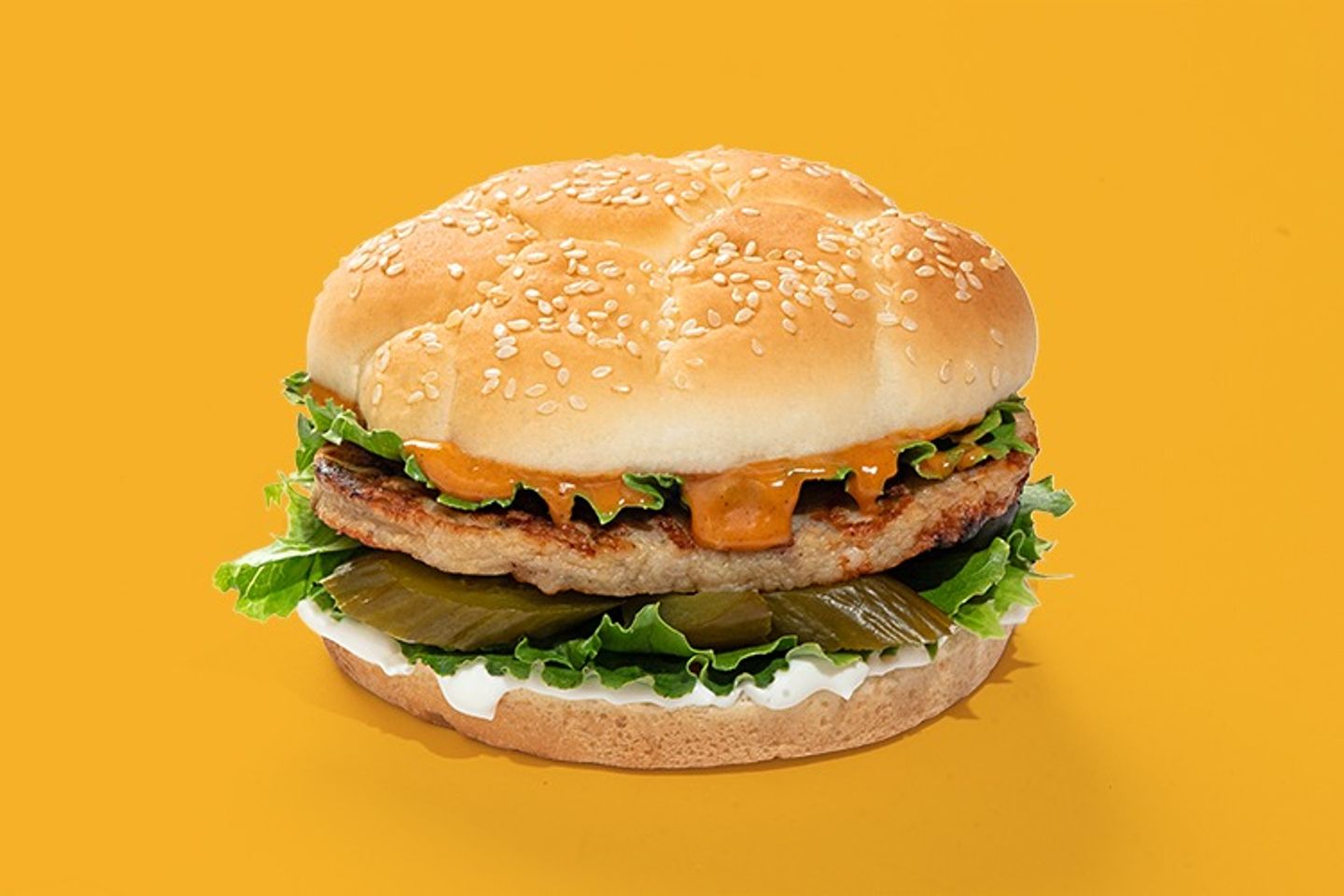 Chicken Burger Sandwich