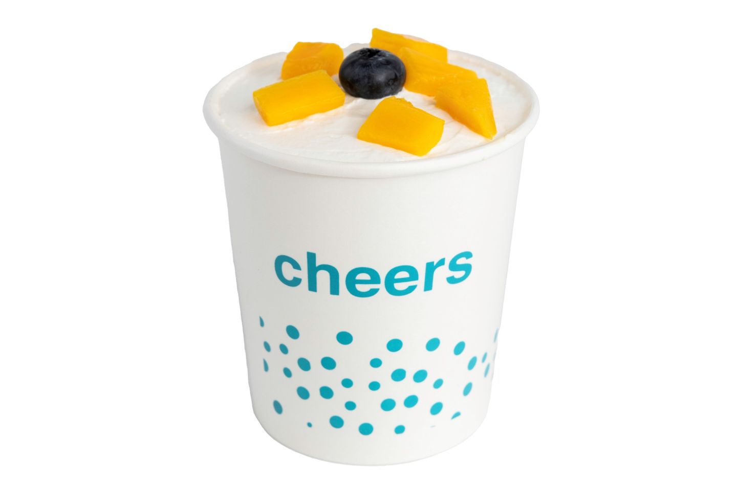 Mango Pudding
