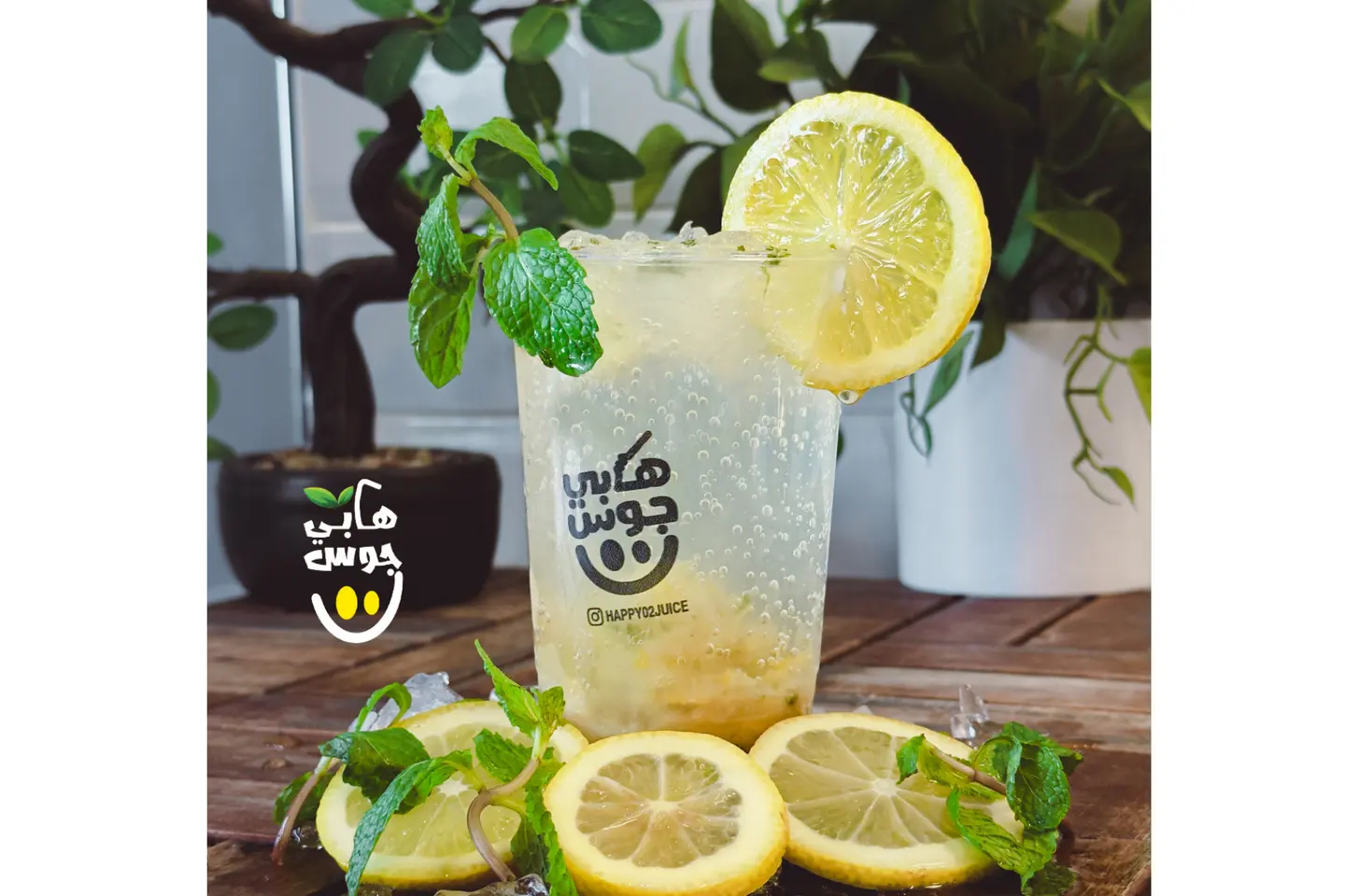 Lemon Mint Mojito