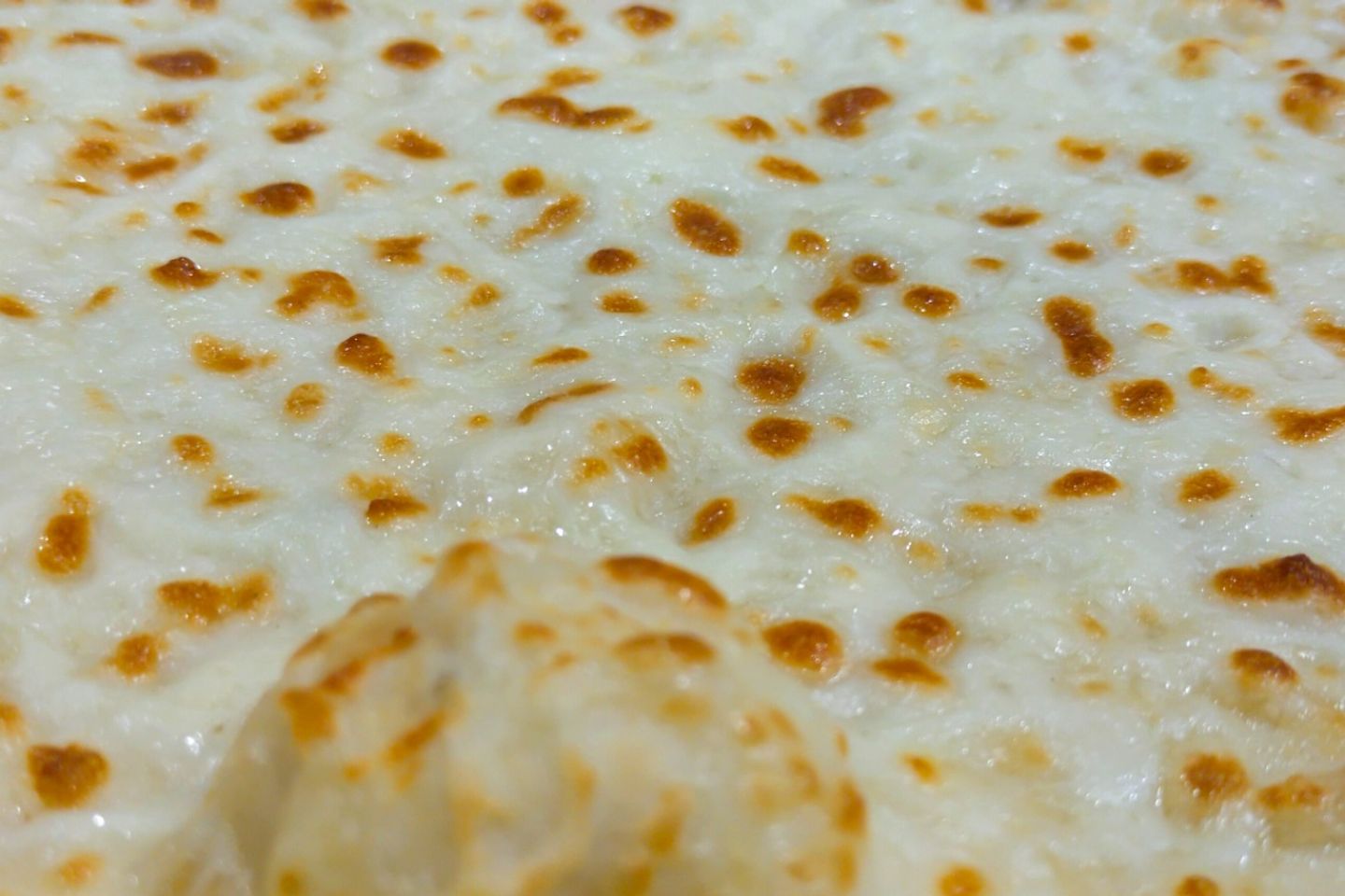 جبن خاص