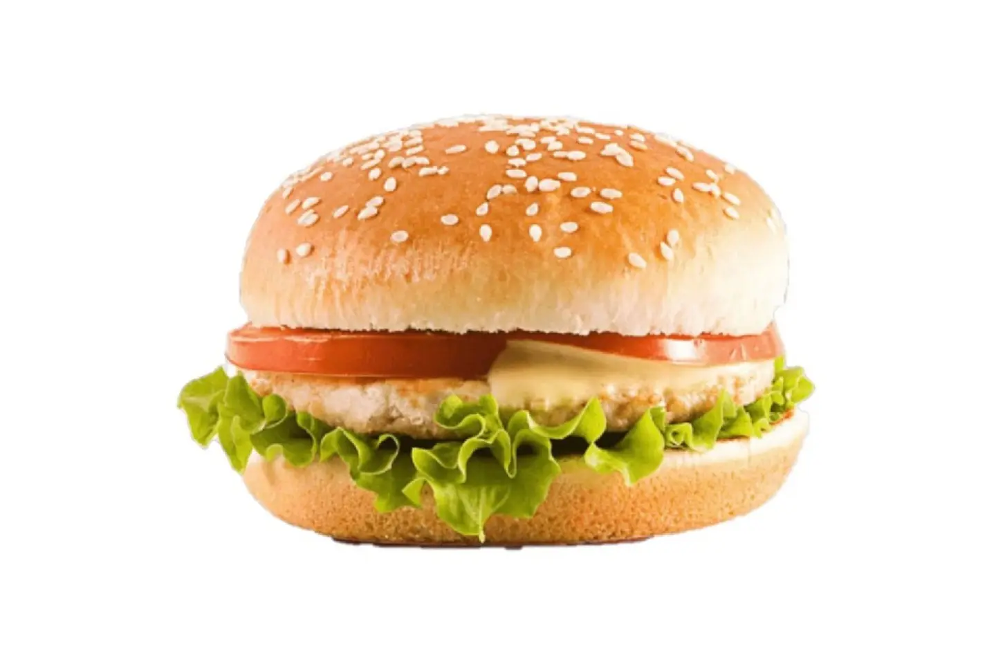 Chicken Burger With Cheese