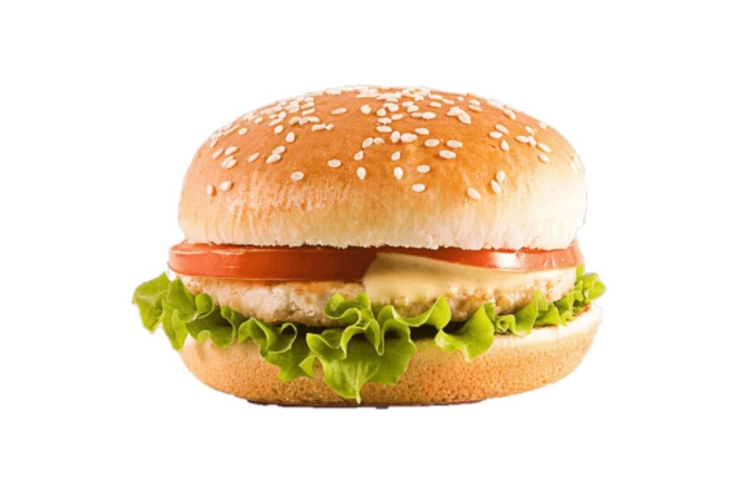 Chicken Burger With Cheese