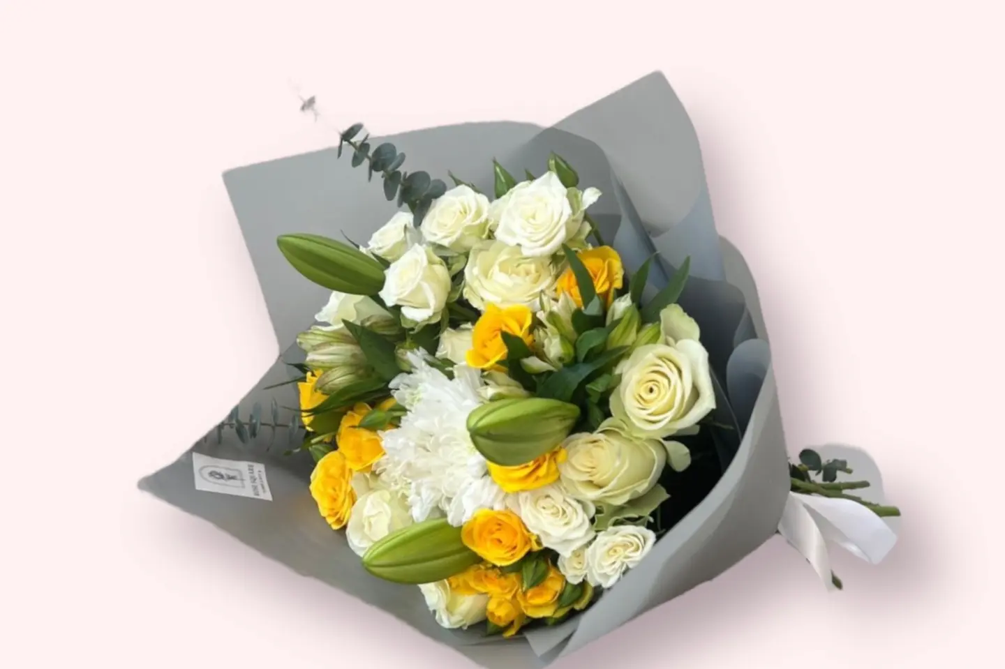 Haifa Package
