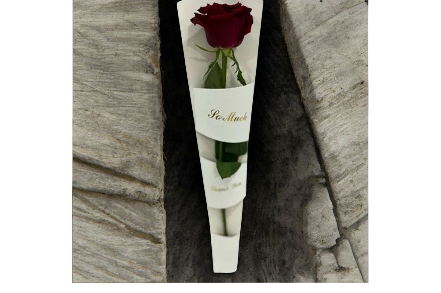 Joriya Rose With Cardboard Packaging